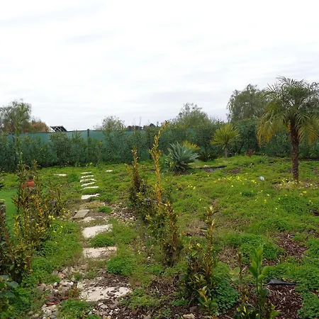 Accommodatie bij particulieren Da Ria Mexilhoeira Grande